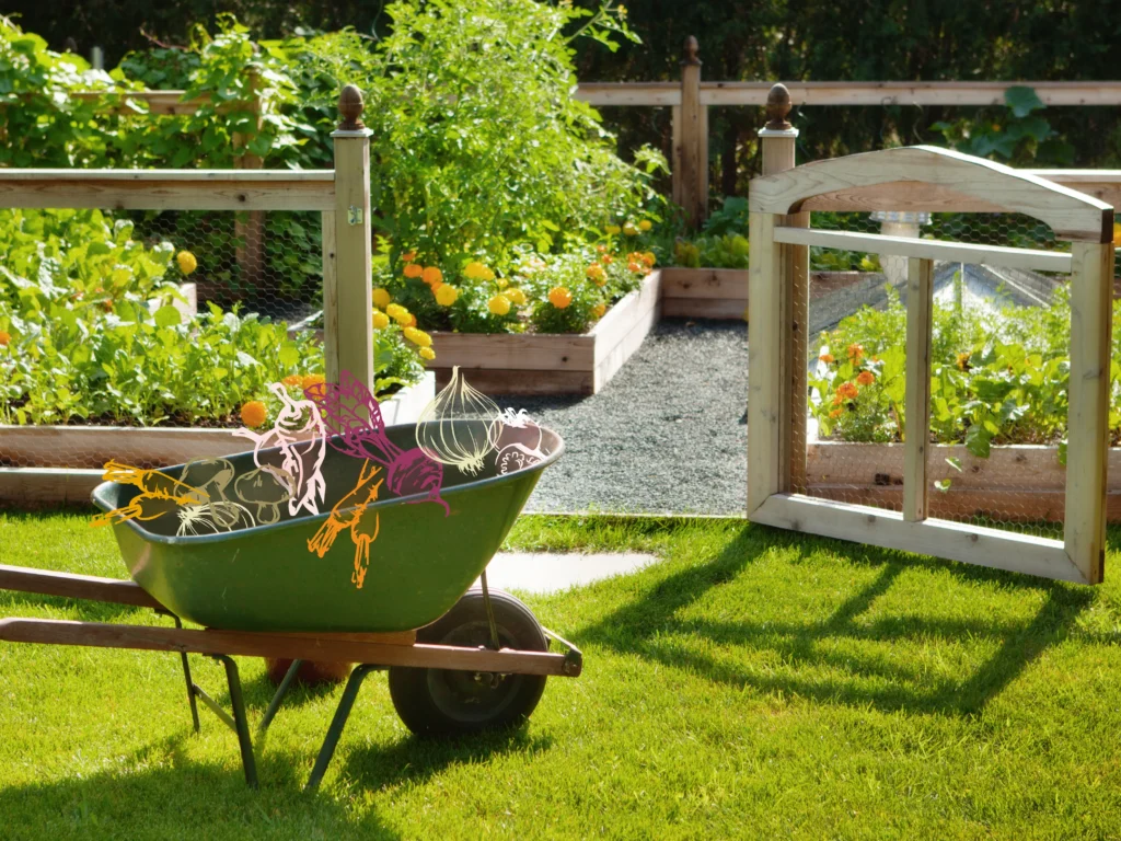 Garden ideas