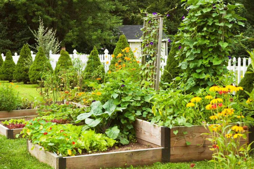 Low-Maintenance Garden Ideas for Busy Homeowners