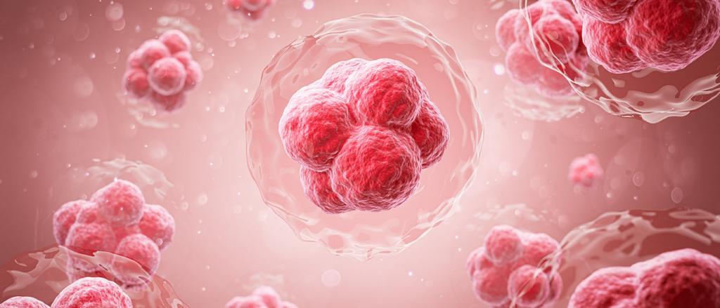 stem cell therapy in windsor 