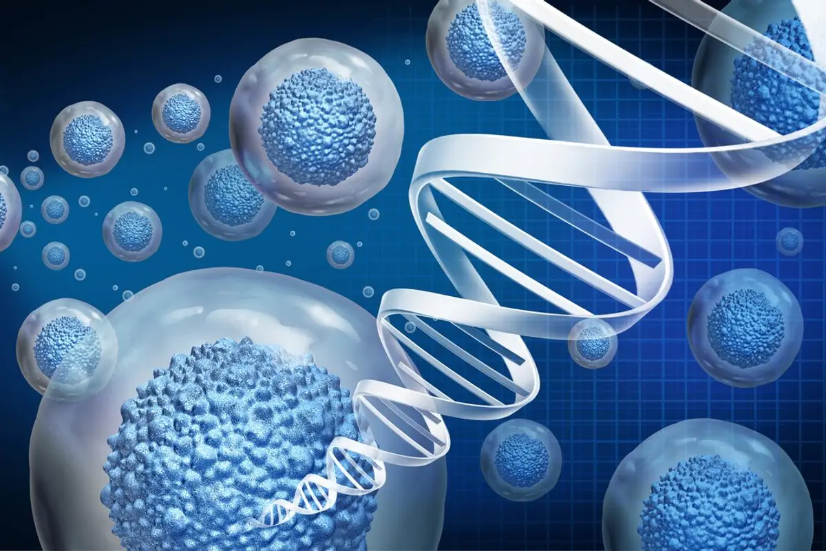 stem cell therapy in london