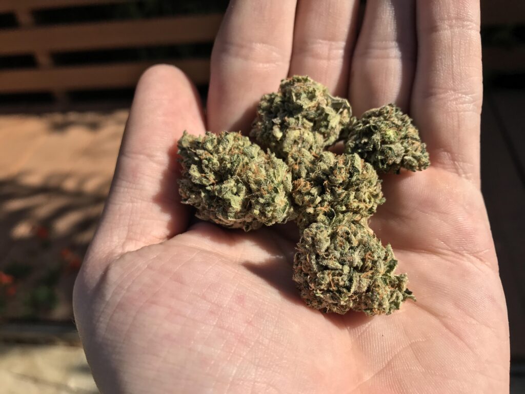 https://freshbros.com/
